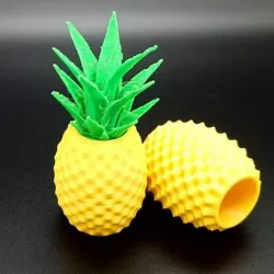 Pineapple Container