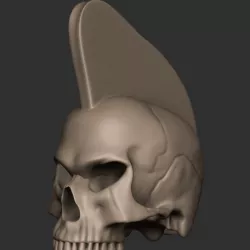 Punk skull