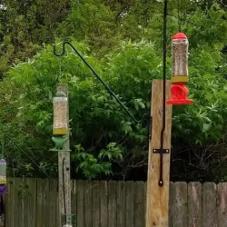Rocket Ship Bird Feeder