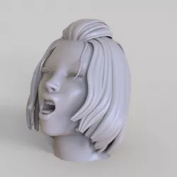 Sexy Female Girl Face Orgasm Expression 3D Print