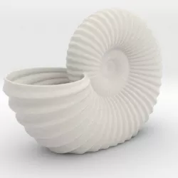 Shell planter