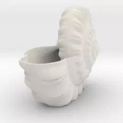 Shell Planter