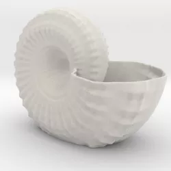 Shell Planter