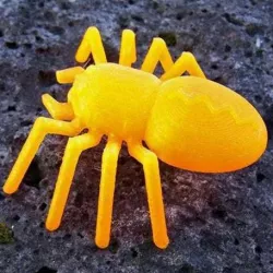 Spider ... With 8 legs, and 8 Eyes