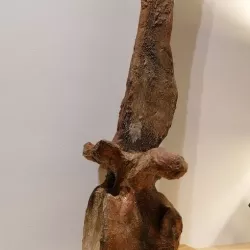 Spinosaur Sail Vertebrae