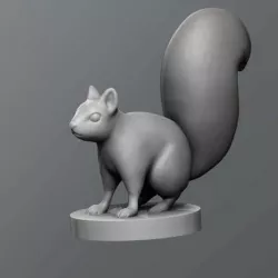 Squirrel
