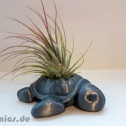 Succulent Planter Turtle