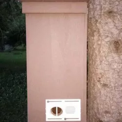 Swarm Trap Entrance