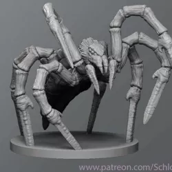 Sword spider