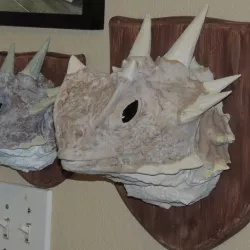 Texas Horned Lizard (Phrynosoma cornutum - Texas Horny Toad)