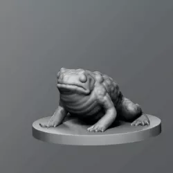 Toad