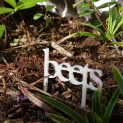 Vegetable garden signs