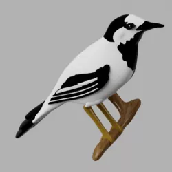 wagtail guardian