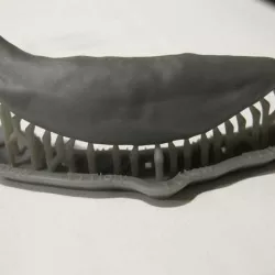 wolf tooth (scanned and printed)