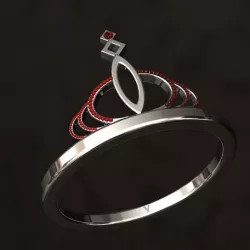 Z Ring