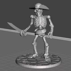 28mm Skeleton Warrior Pirate Captain