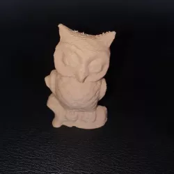 3 owl models (scanner with phone, treat with (photo recap) on PC)