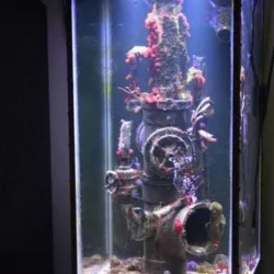 Aquarium / Fish Tank Pipework / Pipes Ornament Parts - Steampunk