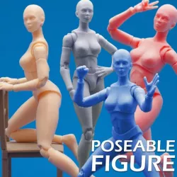 Articulated Poseable Female Figure
