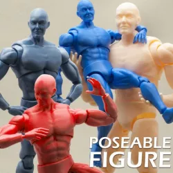 Articulated Poseable Male Figure