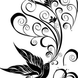 bird