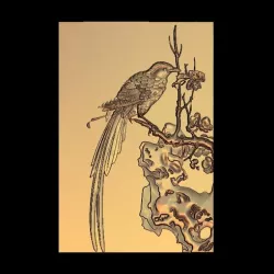 bird on a tree
