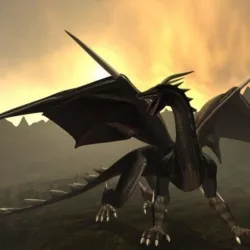 Black Dragon