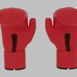 Boxing Glove