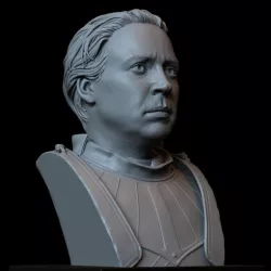 Brienne of Tarth from Game of Thrones, portrait, Bust, 200mm