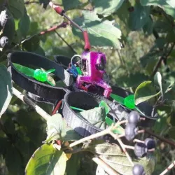 Brushless Shutter Bug