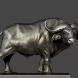 Buffalo