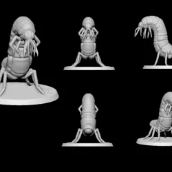 carrion crawler