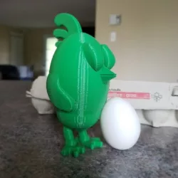 Chicken