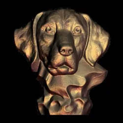 cute hunting dog