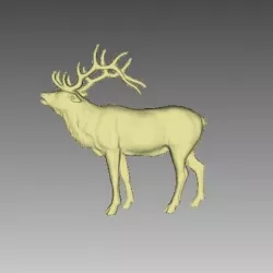 deer screaming