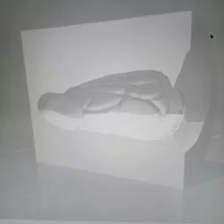 dildos Dragon moulds