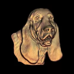dog Basset Hound