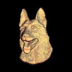 dog german shepherd