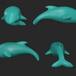 dolphin