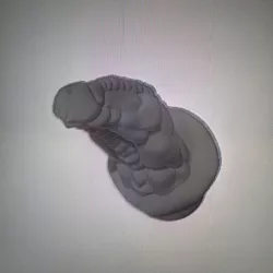 Dragon Dildo