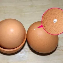 Egg piercer