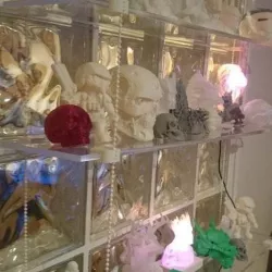 hanging shelves