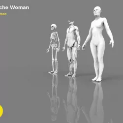 Human model Ecorche woman
