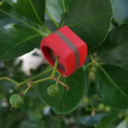 Knight Ring