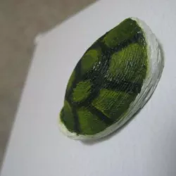 Koopa (Turtle) Shell Magnet