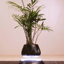 Magnetic levitation vase - The easy way!