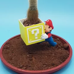 Mario Pot