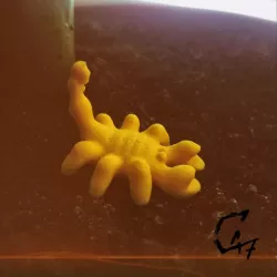 Mini Scorpion
