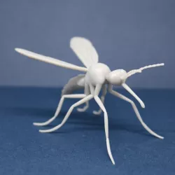 Mosquito Model