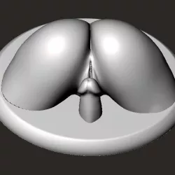 Nice Ass with Just the Tip 3D Print STL - OBJ Files